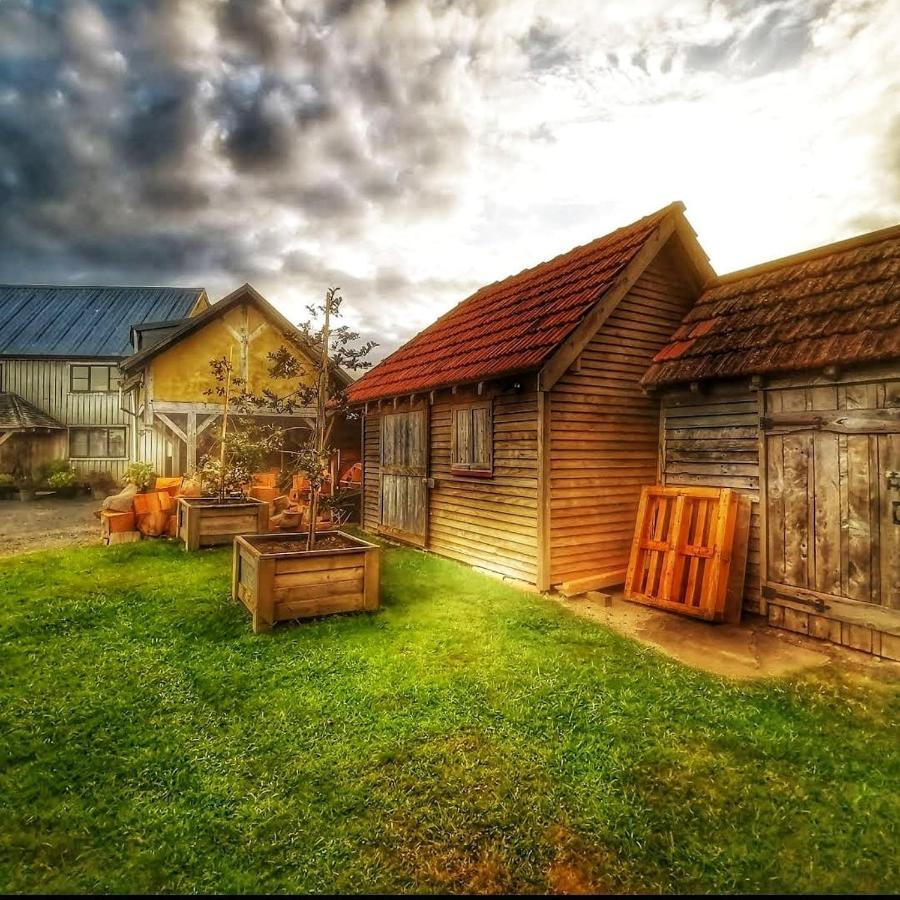 Bed and Breakfast Housewithnonails Matamata Exterior foto