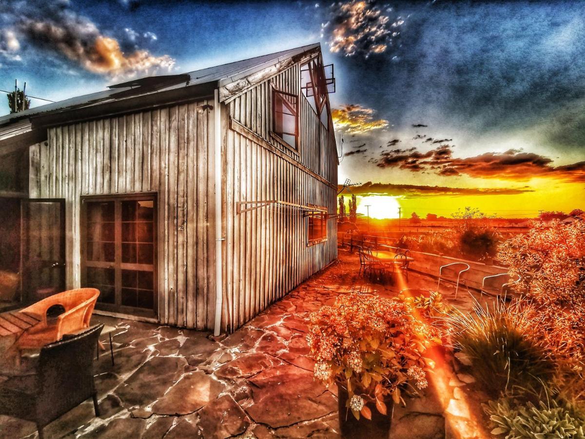 Bed and Breakfast Housewithnonails Matamata Exterior foto