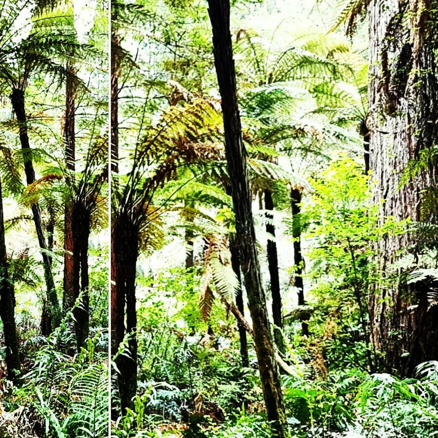 Bed and Breakfast Housewithnonails Matamata Exterior foto